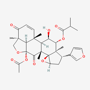 molecular formula C32H38O10 B1262430 malleastrone A 