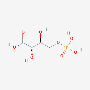 molecular formula C4H9O8P B1262542 4-磷酸-L-赤藓糖酸 