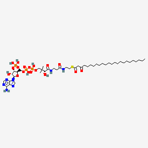 molecular formula C45H80N7O18P3S B1262565 3-氧代四二十烷酰辅酶A 