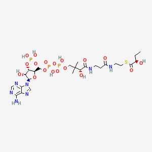 molecular formula C25H42N7O18P3S B1262569 (R)-2-羟基丁酰辅酶A 