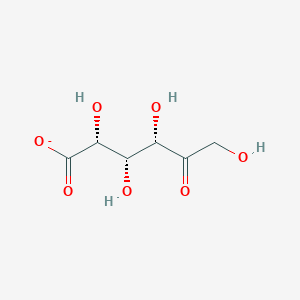 molecular formula C6H9O7- B1262632 5-脱氢-D-葡萄糖酸 