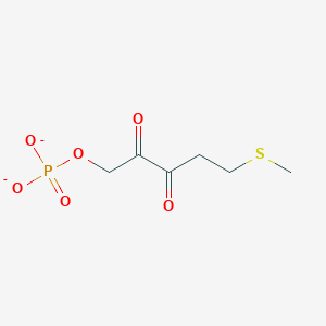 molecular formula C6H9O6PS-2 B1262654 5-(Methylsulfanyl)-2,3-dioxopentyl phosphate(2-) 