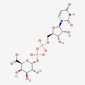 UDP-alpha-D-galacturonate(3-)