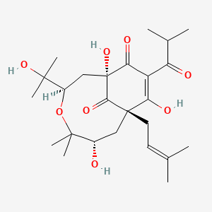 molecular formula C25H38O8 B1262664 garcinielliptone HF 