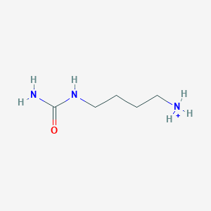 molecular formula C5H14N3O+ B1262684 N-carbamoylputrescinium(1+) 