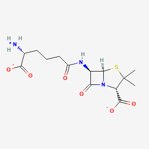 penicillin N(1-)