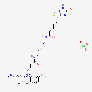 molecular formula C36H52ClN7O7S B1262751 3,6-bis(dimethylamino)-10-{4-oxo-4-[(5-{[5-(2-oxohexahydro-1H-thieno[3,4-d]imidazol-4-yl)pentanoyl]amino}pentyl)amino]butyl}acridinium perchlorate 