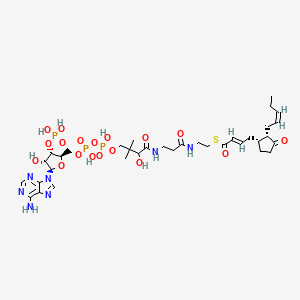 molecular formula C35H54N7O18P3S B1262777 反式-2-烯酰-OPC4-CoA；（酰基-CoA）；[M+H]+ 