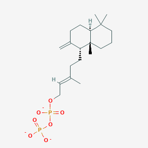 molecular formula C20H33O7P2-3 B1262814 5α,9β,10α-松香二烯-8(20),13-二烯-15-基二磷酸(3-) 