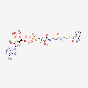 molecular formula C29H43N8O17P3S B1262850 N-Methylanthraniloyl-CoA 