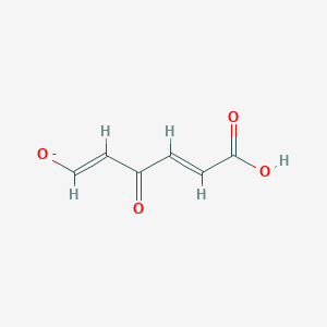 molecular formula C6H5O4- B1262870 (2E,4Z)-4-hydroxy-6-oxohexa-2,4-dienoate 