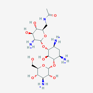 molecular formula C20H43N5O11+4 B1262871 N(6')-乙酰卡那霉素 B(4+) 