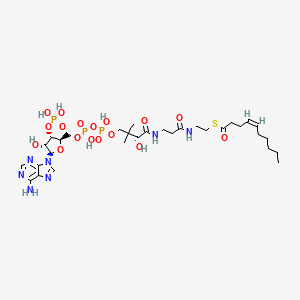 molecular formula C31H52N7O17P3S B1262893 cis-4-Decenoyl-coenzyme A CAS No. 69281-30-7