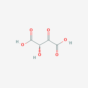molecular formula C4H4O6 B1262912 (2S)-2-hydroxy-3-oxosuccinic acid 