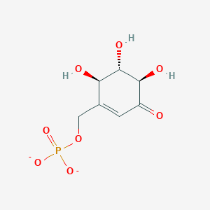 molecular formula C7H9O8P-2 B1262963 缬酮 7-磷酸(2-) 