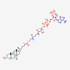 molecular formula C48H80N7O19P3S B1263079 3α,7α-二羟基-5β-胆甾烷-26-酰辅酶A 