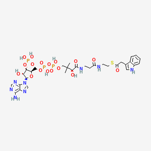 molecular formula C31H43N8O17P3S B1263087 吲哚-3-乙酰辅酶A 