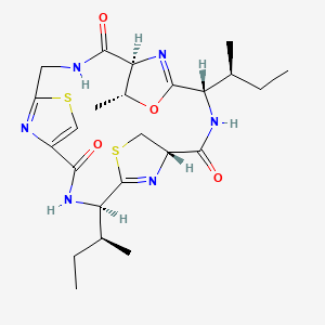 molecular formula C24H34N6O4S2 B1263120 环孢菌酰胺 A 