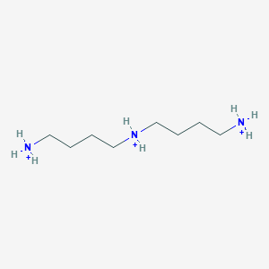 molecular formula C8H24N3+3 B1263154 对称-均二亚胺(3+) 