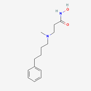 molecular formula C14H22N2O2 B12631719 N-Hydroxy-N~3~-methyl-N~3~-(4-phenylbutyl)-beta-alaninamide CAS No. 919997-16-3