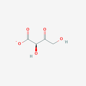 molecular formula C4H5O5- B1263212 3-脱氢-L-苏糖酸 