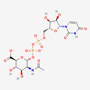 UDP-N-acetyl-alpha-D-mannosaminouronate(3-)