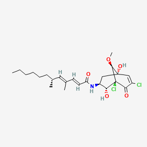 molecular formula C24H35Cl2NO5 B1263226 Gymnastatin Q 