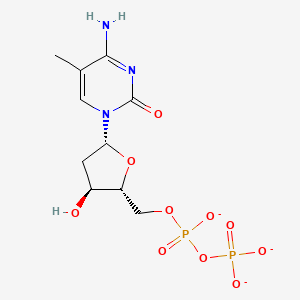 molecular formula C10H14N3O10P2-3 B1263272 5-Methyldeoxycytidine 5'-diphosphate(3-) 