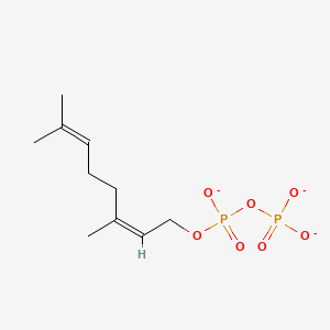 Neryl diphosphate(3-)