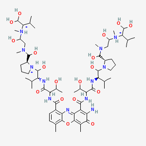 molecular formula C62H109N12O18+3 B1263309 Actinomycinic acid 