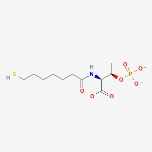 molecular formula C11H19NO7PS-3 B1263328 coenzyme B(3-) 