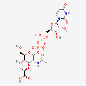 uridine 5'-(3-{2-acetylamino-3-O-[(R)-1-carboxyethyl]-2-deoxy-D-glucopyranosyl} dihydrogen diphosphate)