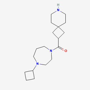 molecular formula C18H31N3O B12633772 7-Azaspiro[3.5]nonan-2-yl-(4-cyclobutyl-1,4-diazepan-1-yl)methanone 