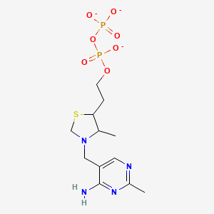 molecular formula C12H19N4O7P2S-3 B1263394 Tetrahydrothiamin pyrophosphate 