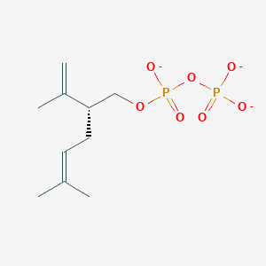 molecular formula C10H17O7P2-3 B1263398 (R)-薰衣草基二磷酸(3-) 