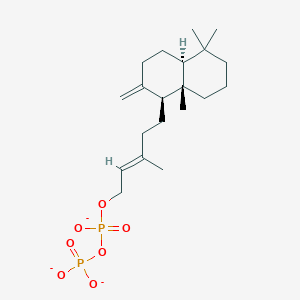 molecular formula C20H33O7P2-3 B1263403 5alpha,9alpha,10beta-Labda-8(20),13-dien-15-yl diphosphate(3-) 