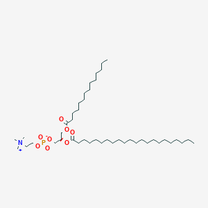 molecular formula C44H88NO8P B1263434 1-十四烷酰基-2-二十二烷酰基-sn-甘油-3-磷酸胆碱 