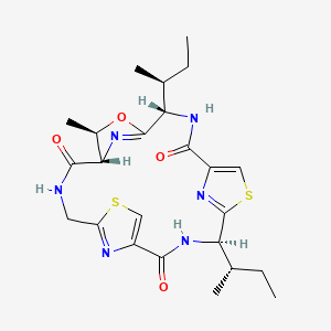 molecular formula C24H32N6O4S2 B1263469 aerucyclamide B 