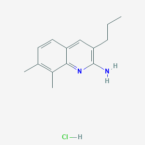 molecular formula C14H19ClN2 B12634703 2-Amino-7,8-dimethyl-3-propylquinoline hydrochloride CAS No. 1171674-96-6