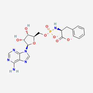 molecular formula C19H21N6O8P-2 B1263473 N-腺苷酰-L-苯丙氨酸(2-) 