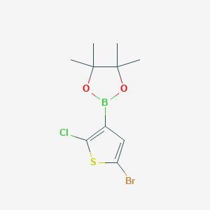 2-(5-Bromo-2-chlorothiophen-3-YL)-4,4,5,5-tetramethyl-1,3,2-dioxaborolane