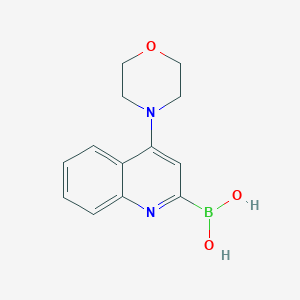 molecular formula C13H15BN2O3 B12635026 (4-Morpholin-4-ylquinolin-2-yl)boronic acid 