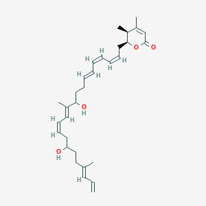 molecular formula C31H44O4 B1263518 Macrolactin U 