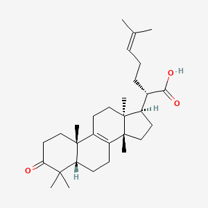 molecular formula C30H46O3 B1263533 beta-Elemonic acid 