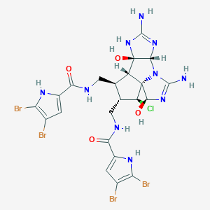 molecular formula C22H23Br4ClN10O4 B1263549 Axinellamine B 