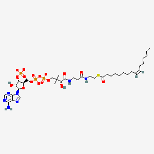 molecular formula C37H60N7O17P3S-4 B1263597 棕榈油酰辅酶A(4-) 