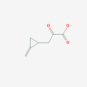 molecular formula C7H7O3- B1263610 Methylenecyclopropylpyruvate 