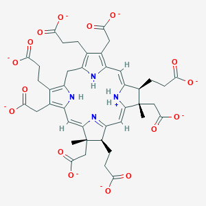 molecular formula C42H41N4O16-7 B1263615 前卟啉原-2(7-) 