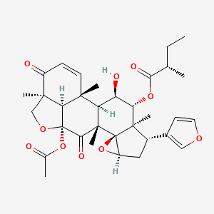 molecular formula C33H40O10 B1263628 malleastrone B 