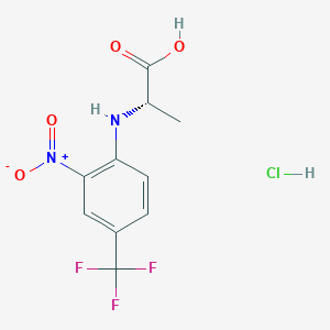 molecular formula C10H10ClF3N2O4 B12636585 C10H10ClF3N2O4 